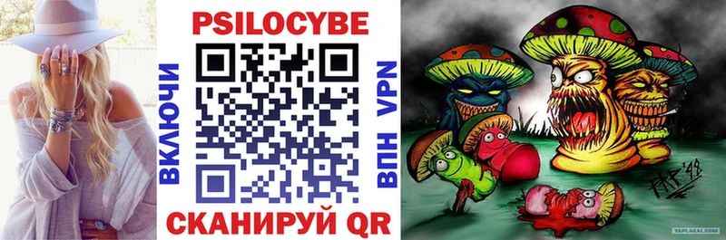 закладка KRAKEN сайт Псилоцибиновые грибы Psilocybe Катайск